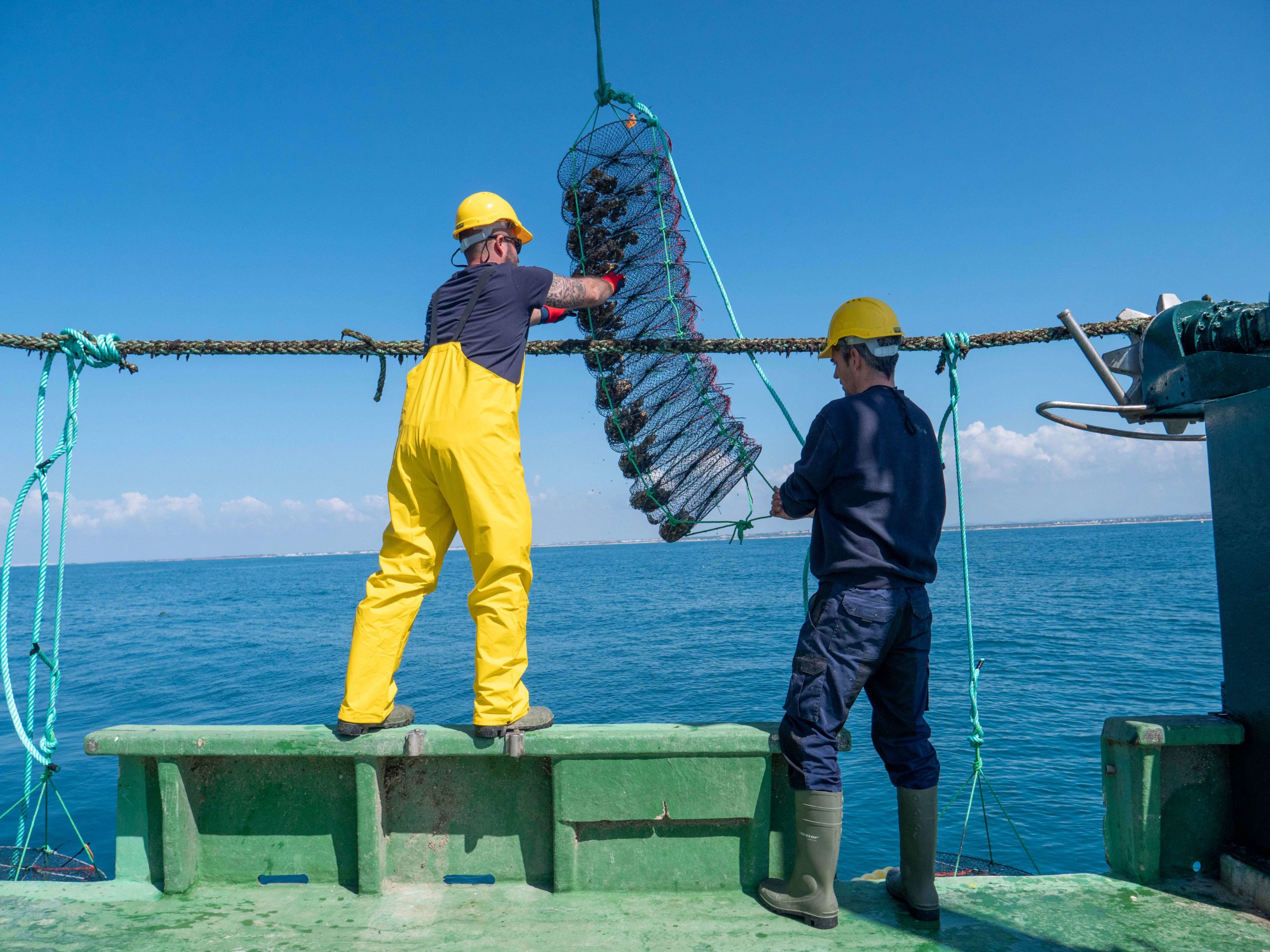 Productos acuicultura, miticultura y pesca: ¿Qué es el sistema Long-Line?