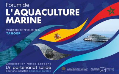 Grupo Eurored participa en el Foro de Acuicultura Marina en Tánger